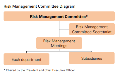 risk management .png